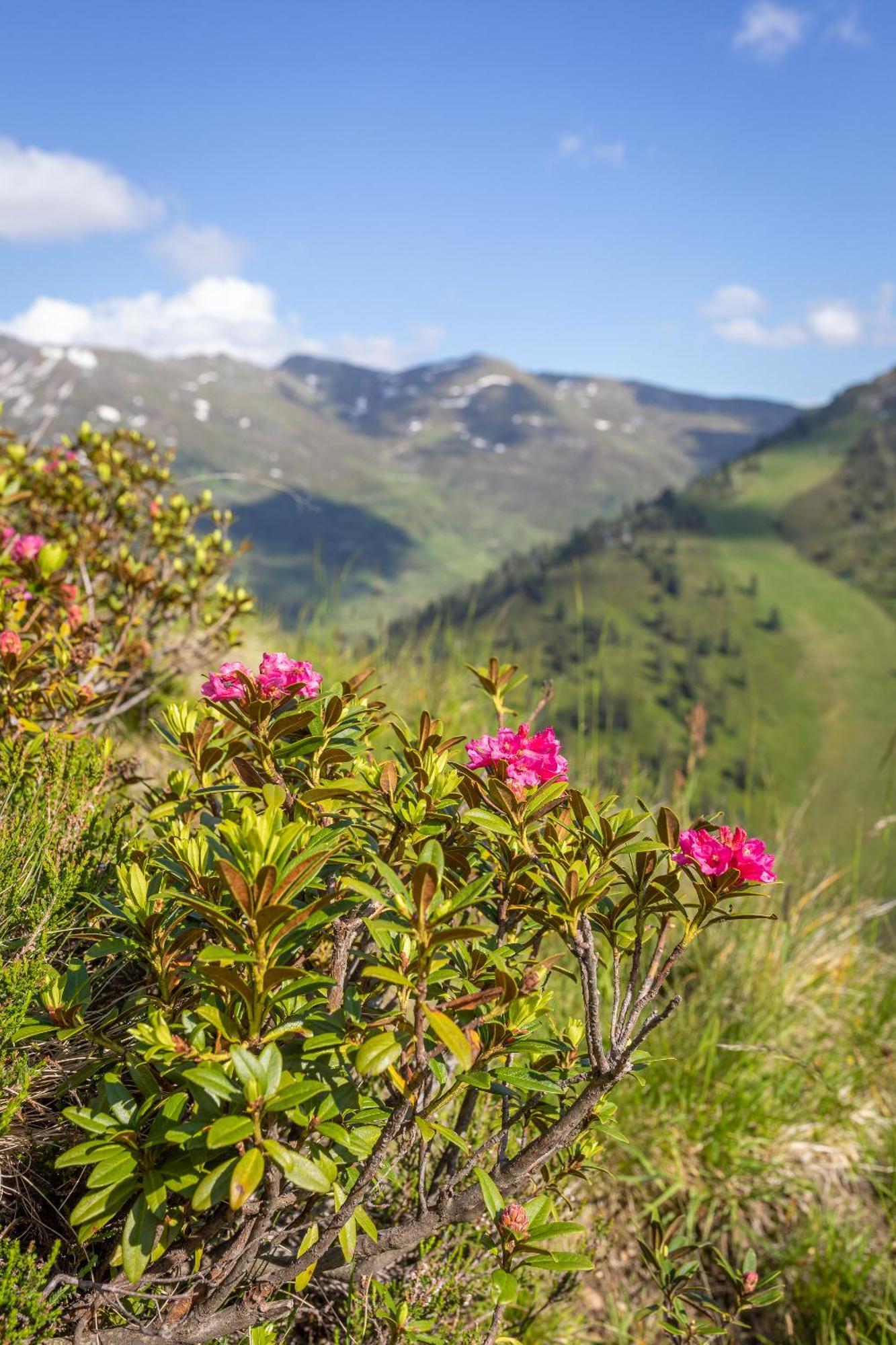 Haus Martina In Hochfuegen - Ohne Verpflegung エクステリア 写真